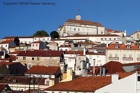 Über den Dächern von Coimbra, Blick auf die Bibliothek